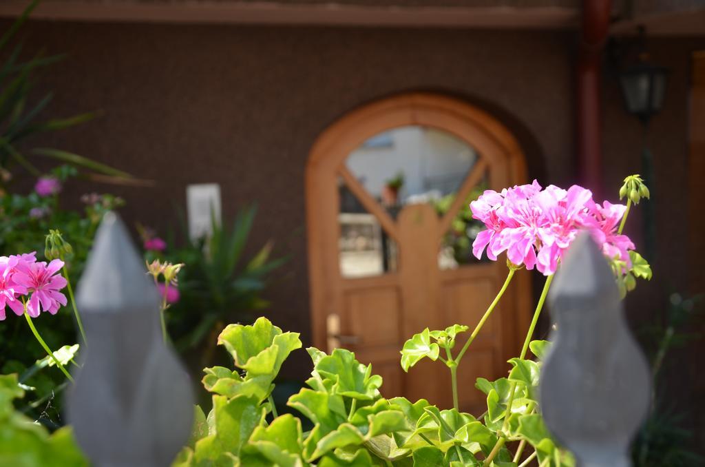 Villa Caci オフリド エクステリア 写真